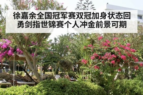 徐嘉余全国冠军赛双冠加身状态回勇剑指世锦赛个人冲金前景可期
