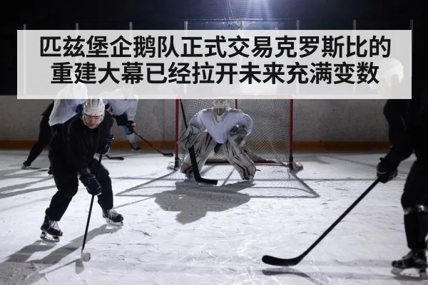 匹兹堡企鹅队正式交易克罗斯比的重建大幕已经拉开未来充满变数